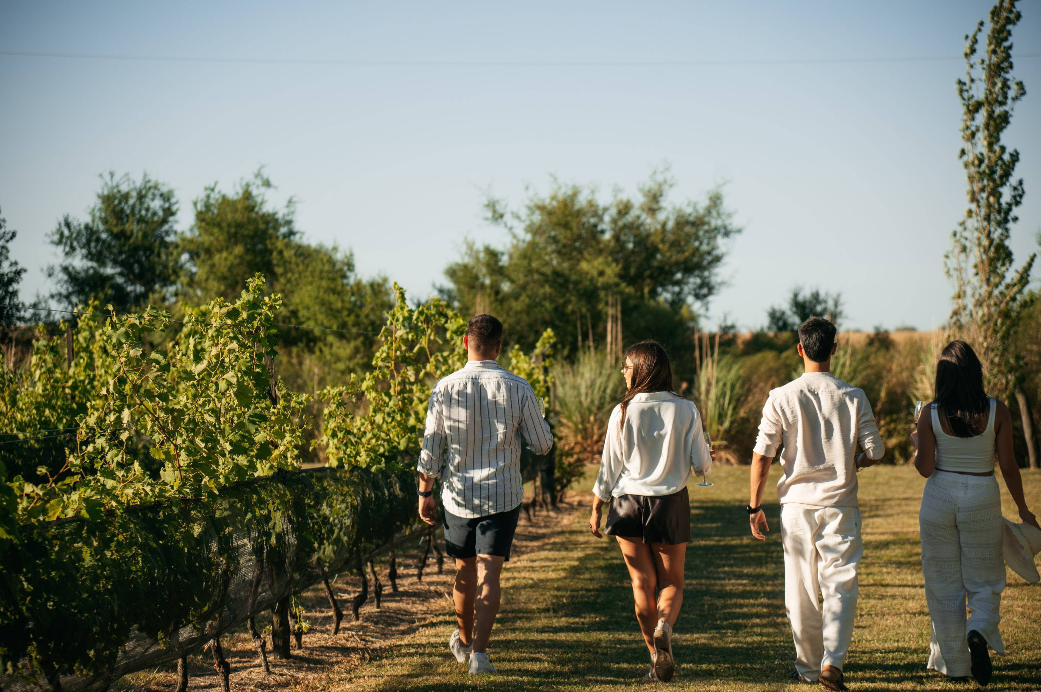 Bodega Ianni